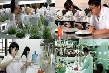 Quyền tự chủ của tổ chức khoa học và công nghệ công lập